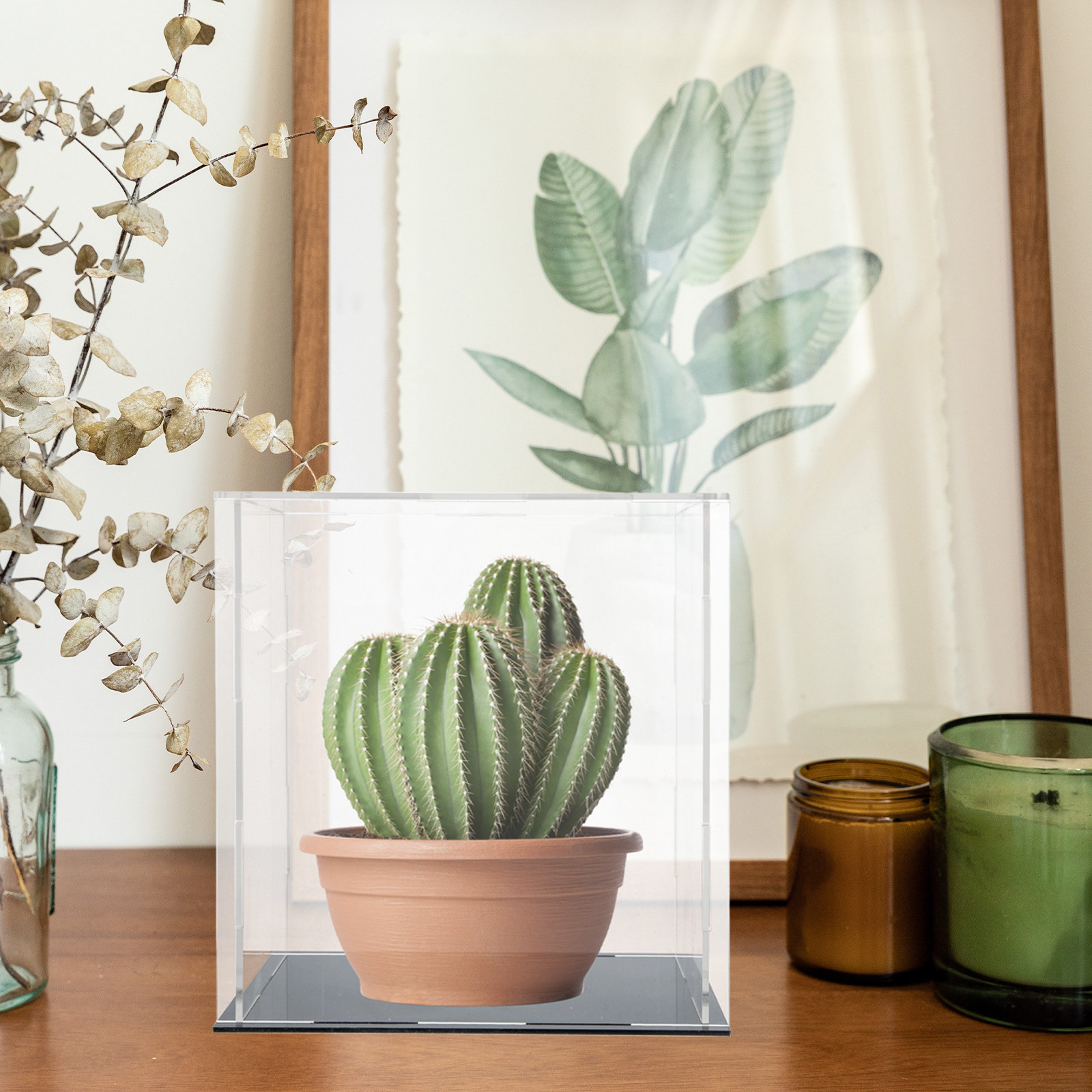 Acrylic Transparent Display Ca - Display Case Acrylic ulasan dan harga